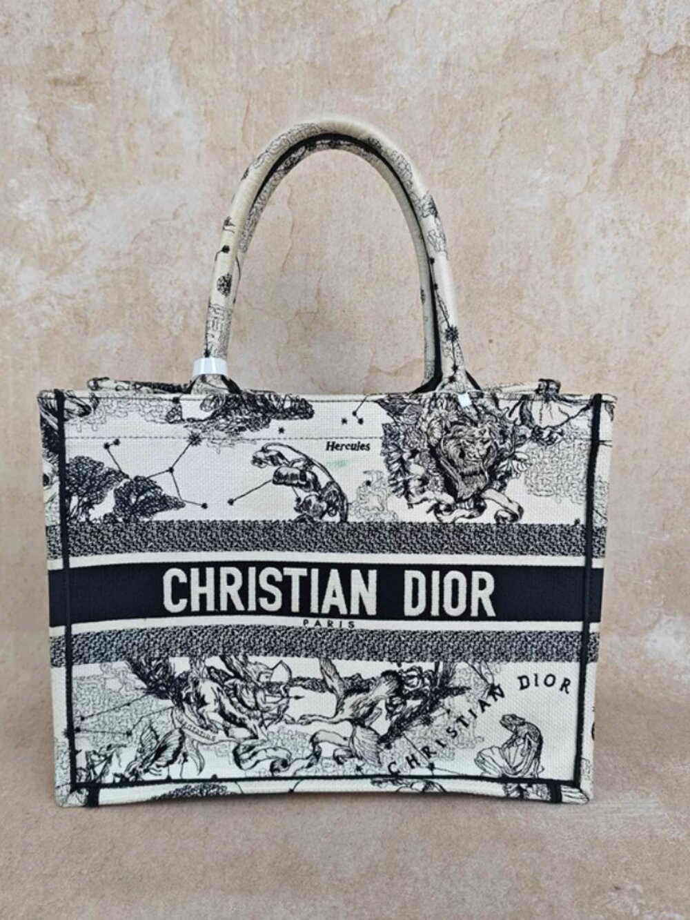 DIOR BookTote Handbag shopping bag